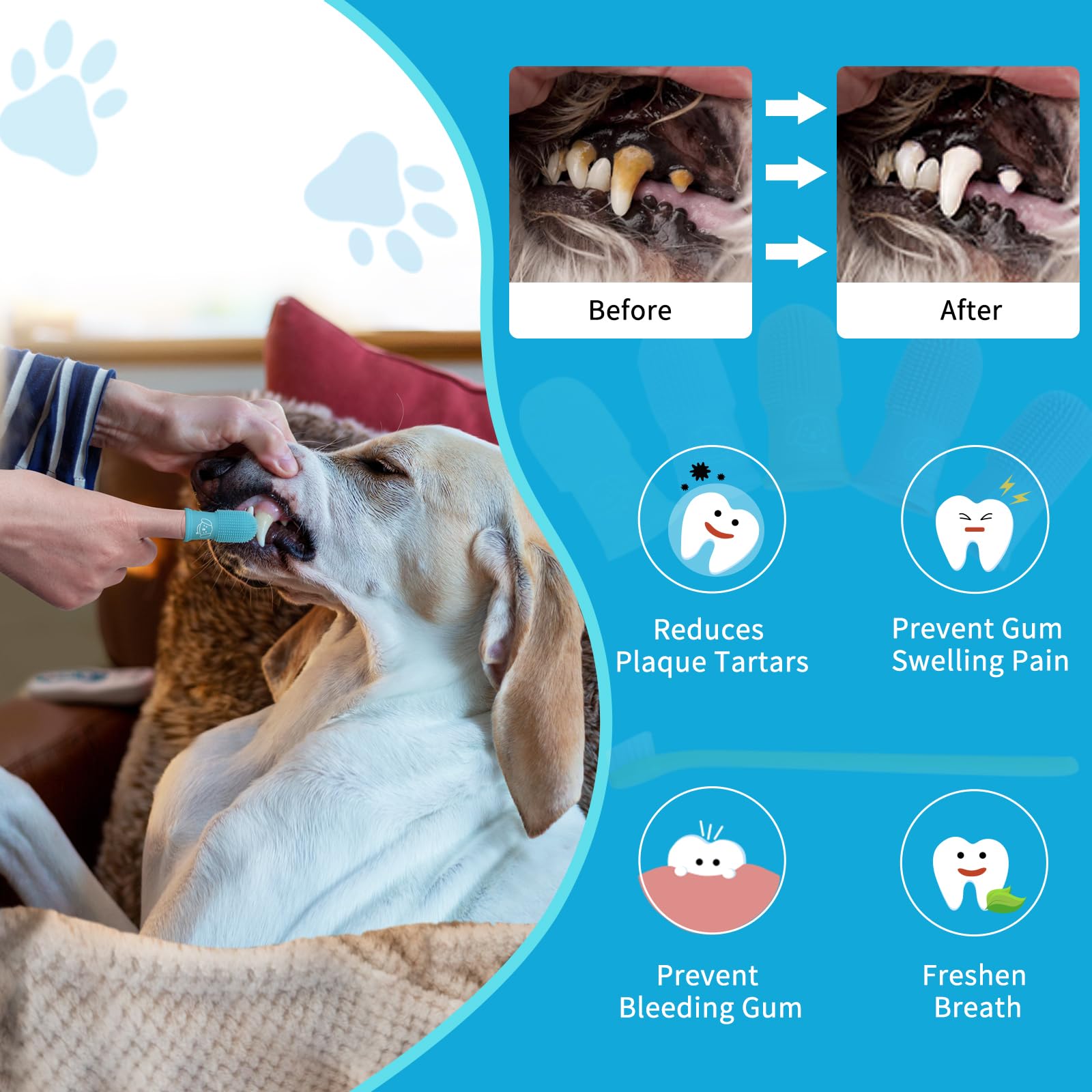 Pet Dental Care Finger Toothbrush for Dogs - Puppy Teeth Cleaning Kit with Soft Fingerbrush for Gentle Brushing - Perfect for Small & Medium Dogs at Home or Travel