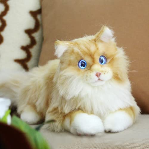 Persian_without Suit