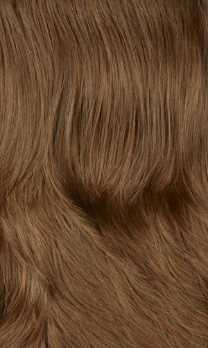 12AH (Golden Brown) / (Light Auburn) Highlights