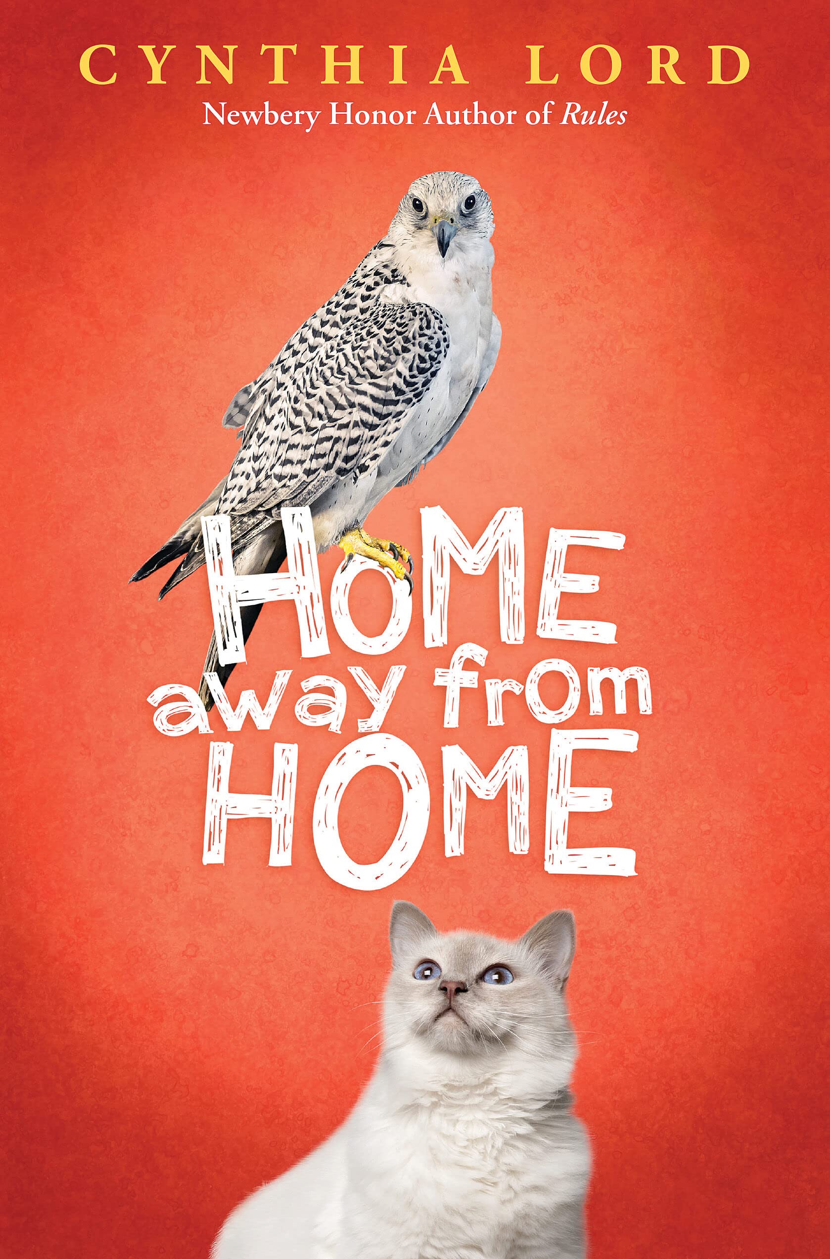 Home Away From Home - Cozy & Comfortable Travel Essentials for Vacation, Business Trips & Camping | Perfect Portable Home Accessories