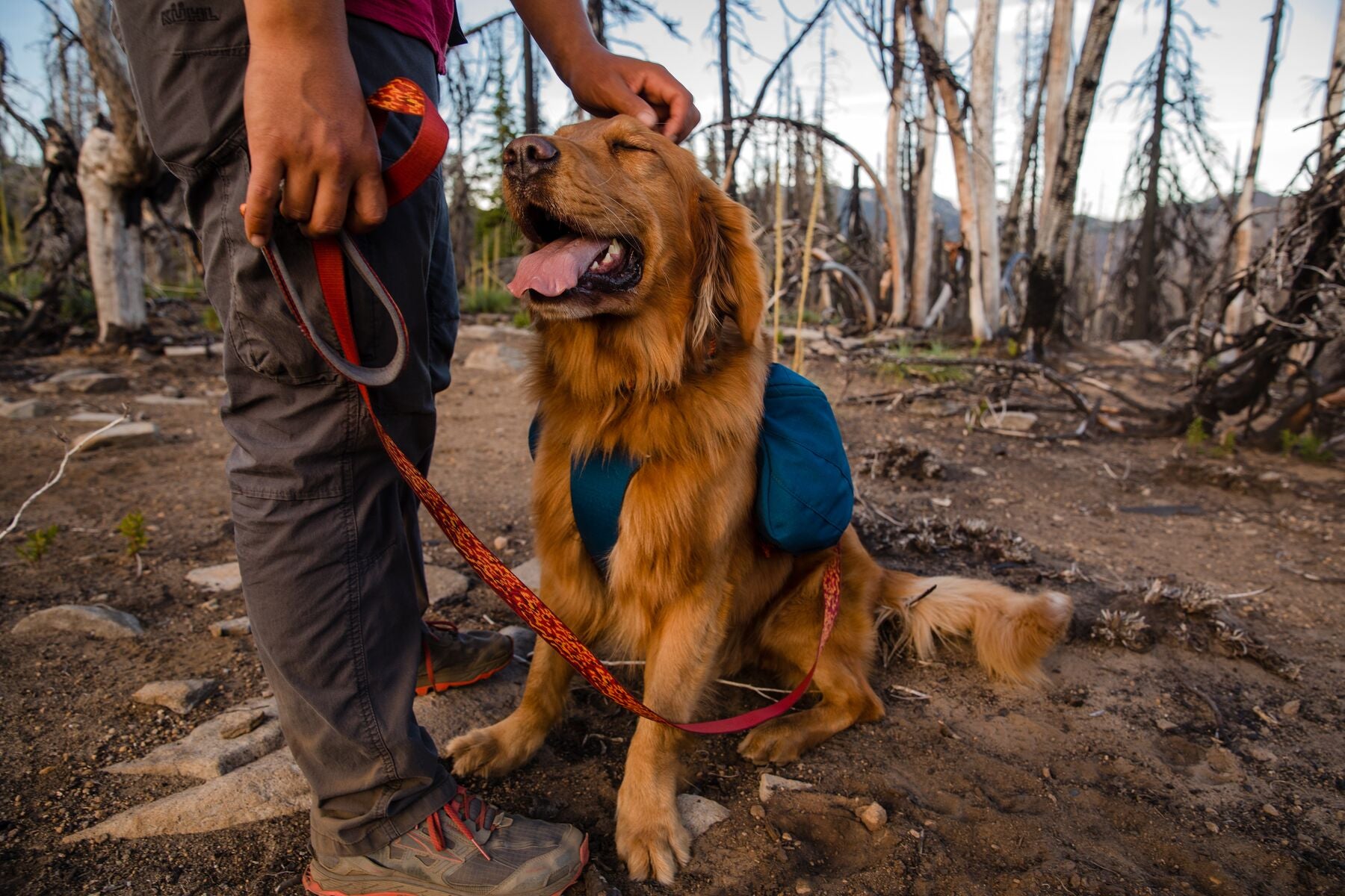 Ruffwear Flat Out Adjustable Dog Leash - Reflective & Durable for Walking, Hiking & Training - Perfect for Active Dogs & Outdoor Adventures