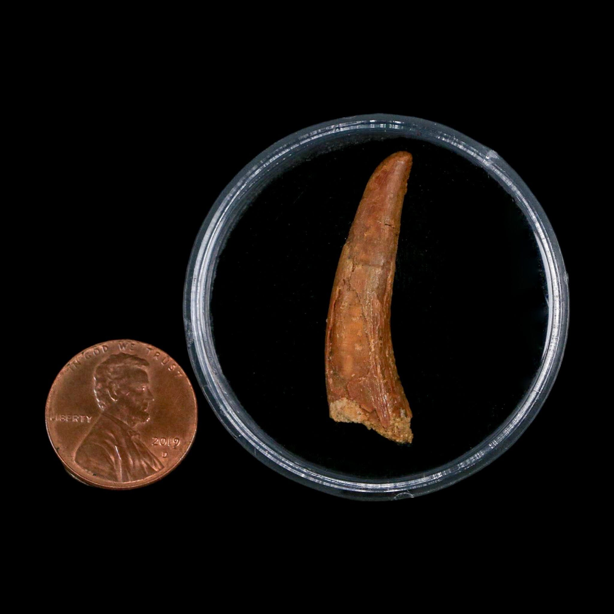 1.4