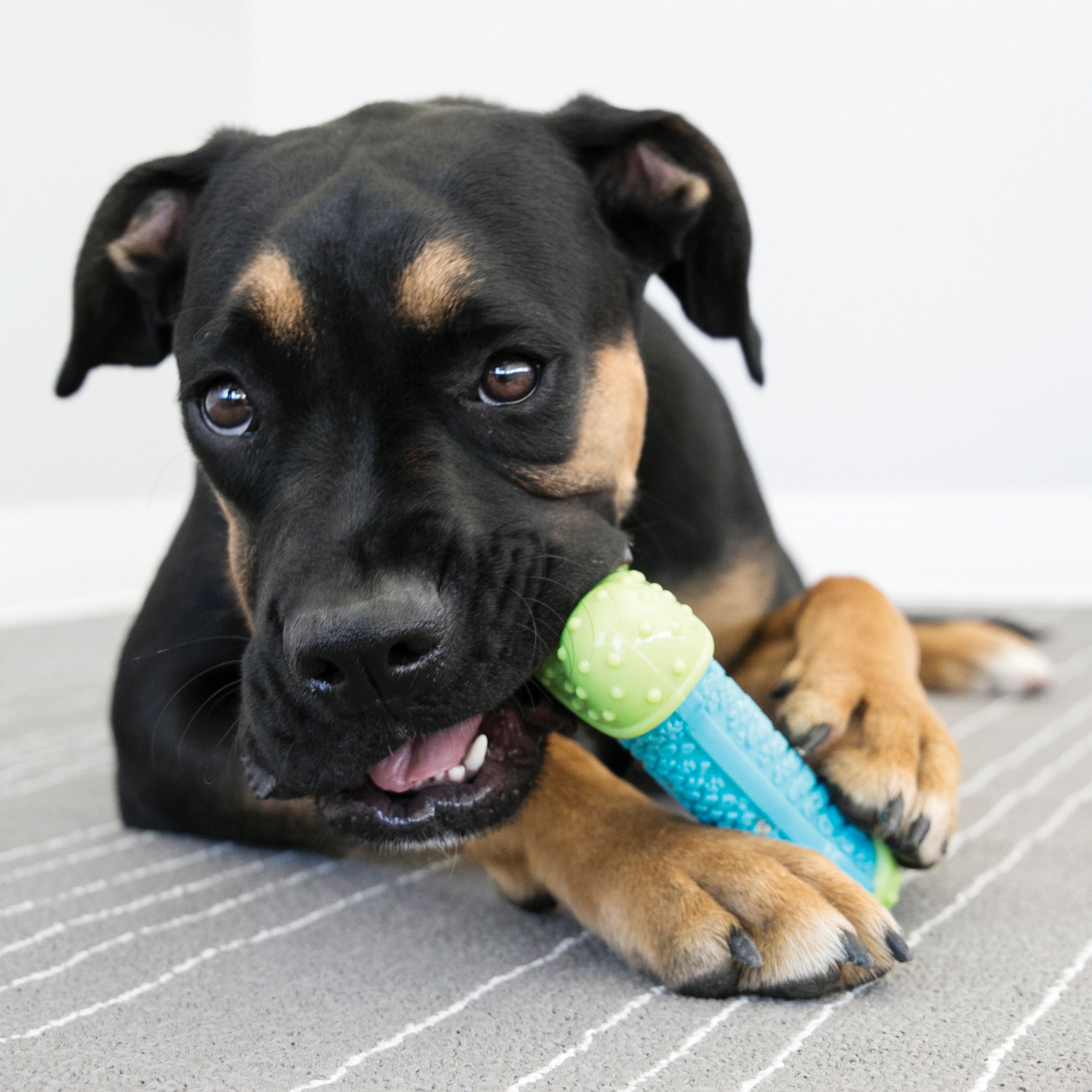 Kong CoreStrength Dog Chew Toy - Durable Chewing Bone for Aggressive Chewers - Perfect for Teething Puppies & Strong Jaws - Indoor & Outdoor Play