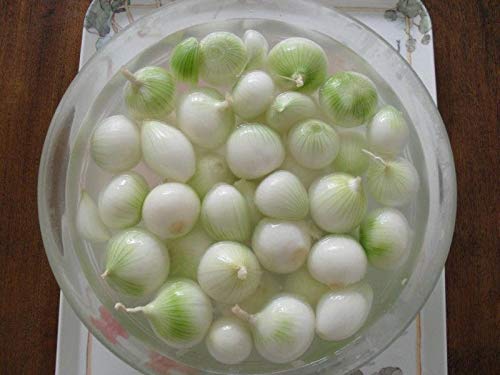 Barletta Cocktail Onion Seeds (100 Count) - Perfect for Salads, Kabobs, Pickling & Gourmet Cocktail Garnishes
