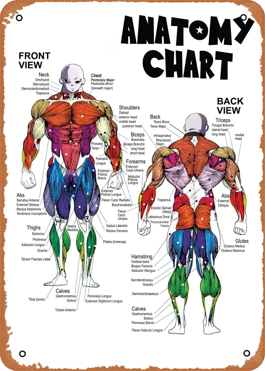 Ysirseu Jiren Anime Anatomy Chart Metal Tin Sign - 8x12 Inch Vintage Anime Poster for Man Cave, Home & Office Decor - Perfect for Anime Fans & Collectors