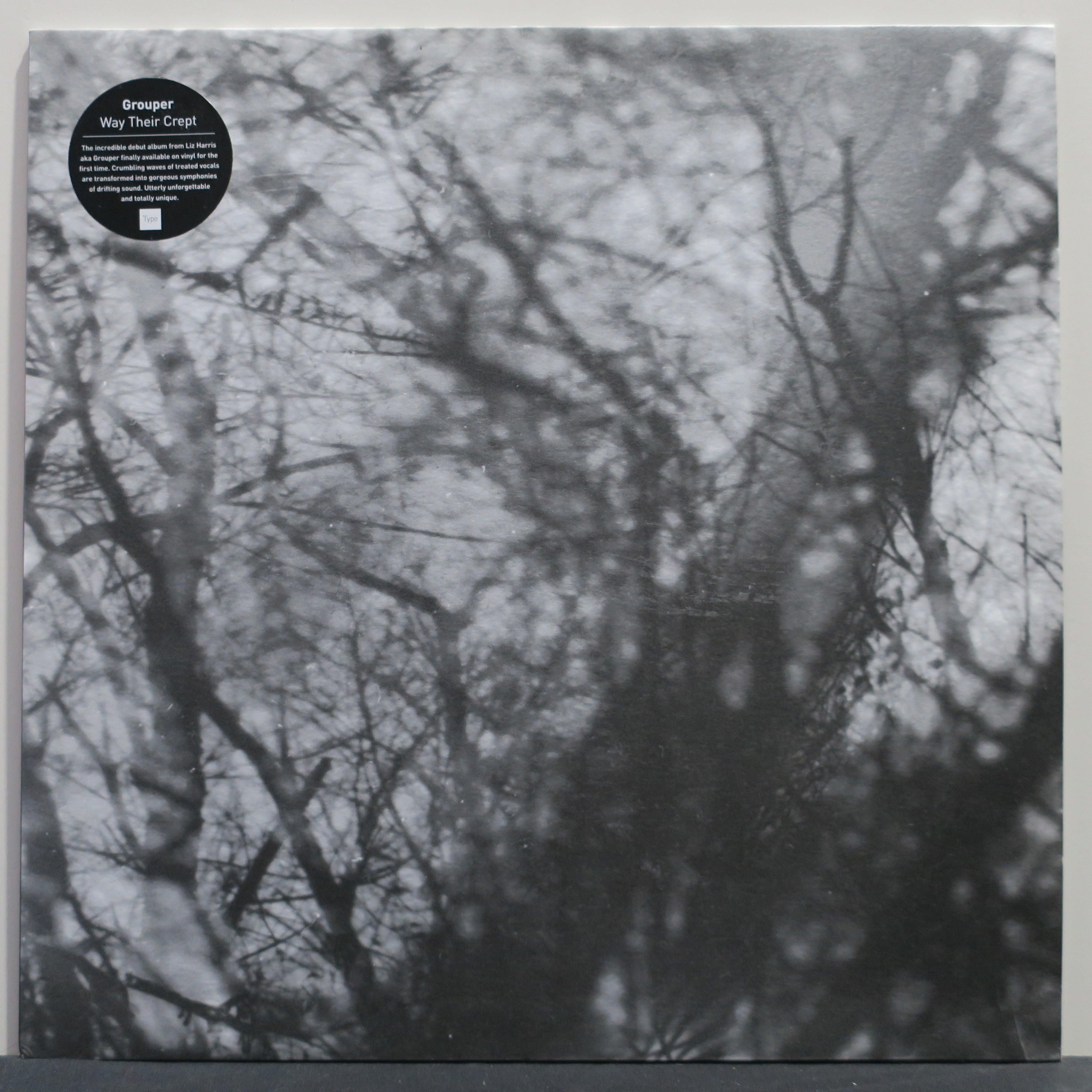 Grouper 'Way Their Crept' 2005 Original Vinyl LP Record - Limited Edition Alternative/Ambient Music for Home Listening & Vinyl Collectors
