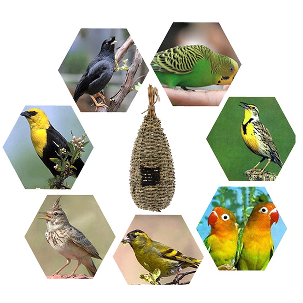 Natural Fiber Hanging Bird House for Finches - Outdoor Bird Nest Hut, Cage Shelter & Hideaway - Perfect for Garden, Patio, and Backyard Bird Watching