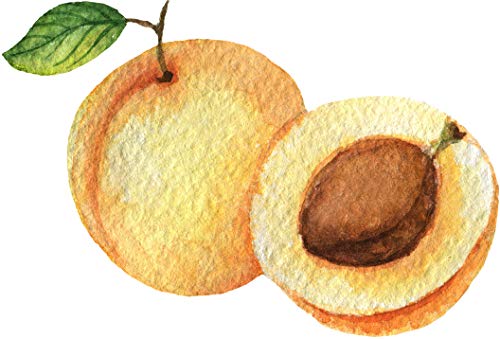 Peach Apricot