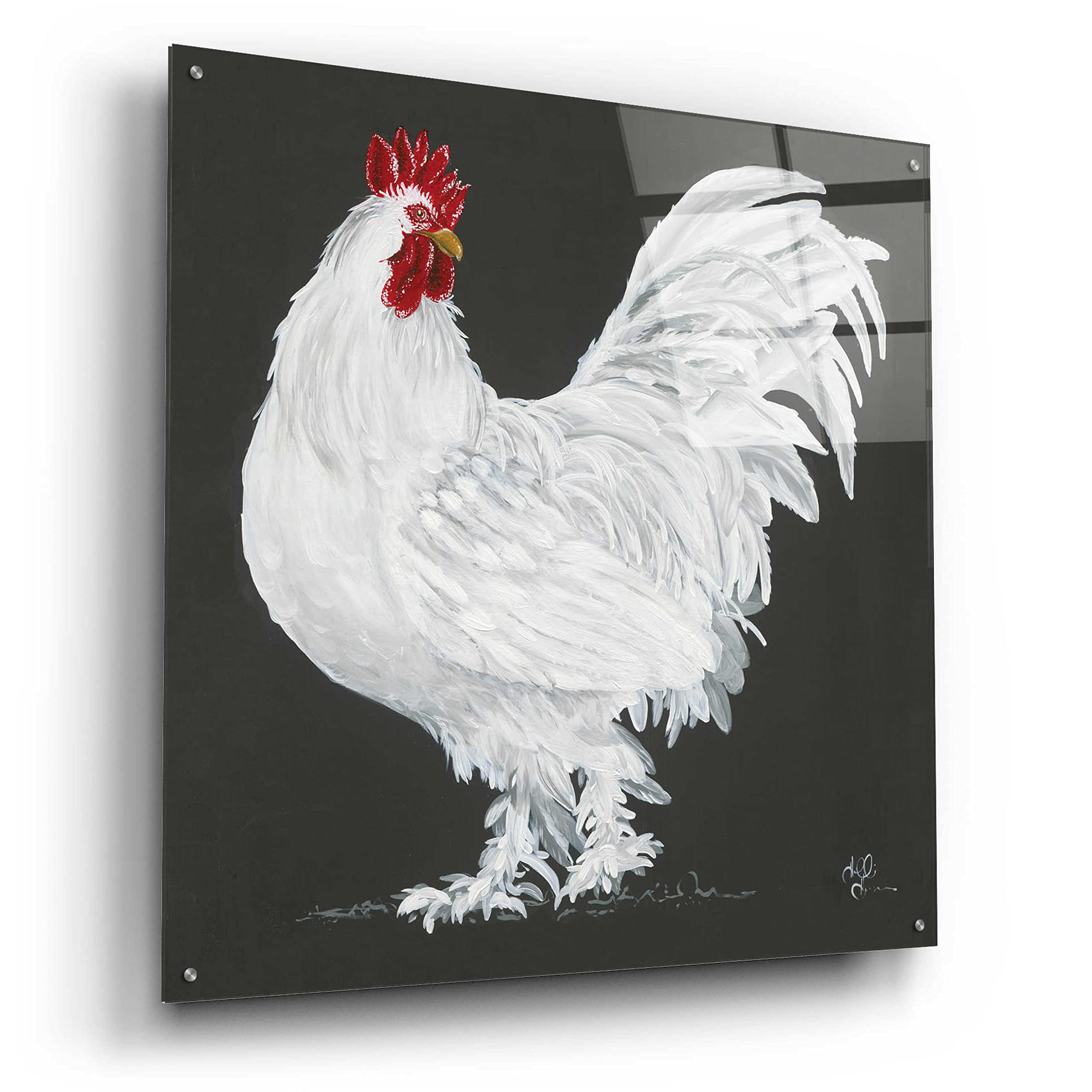 Epic 'Rooster' Acrylic Glass Wall Art by Hollihocks - 36x36 Inches Modern Home Decor - Perfect for Living Room, Bedroom or Office Wall Art