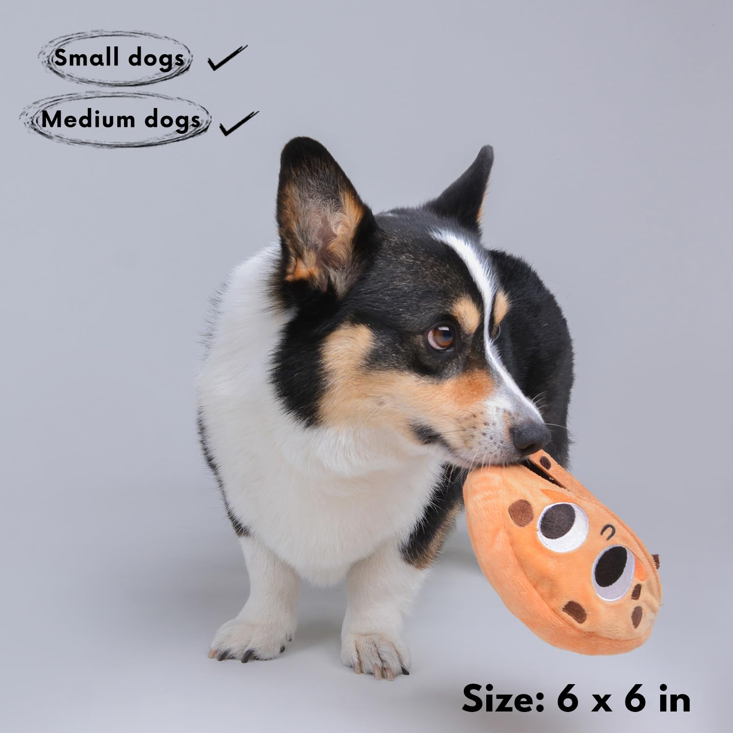 Interactive Dog Toys for Small, Medium & Large Breeds - Puppy Puzzle Toys, Treat Dispensing & Plush Chew Toys - Perfect for Birthday Gifts, Halloween Enrichment & Daily Playtime
