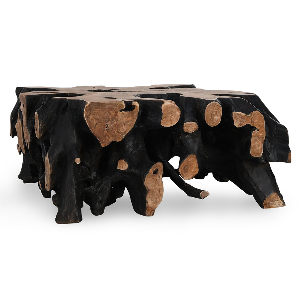Premium Cypress Root Coffee Table - 40 Inch Square Natural Wood Table for Living Room, Patio, or Office Decor