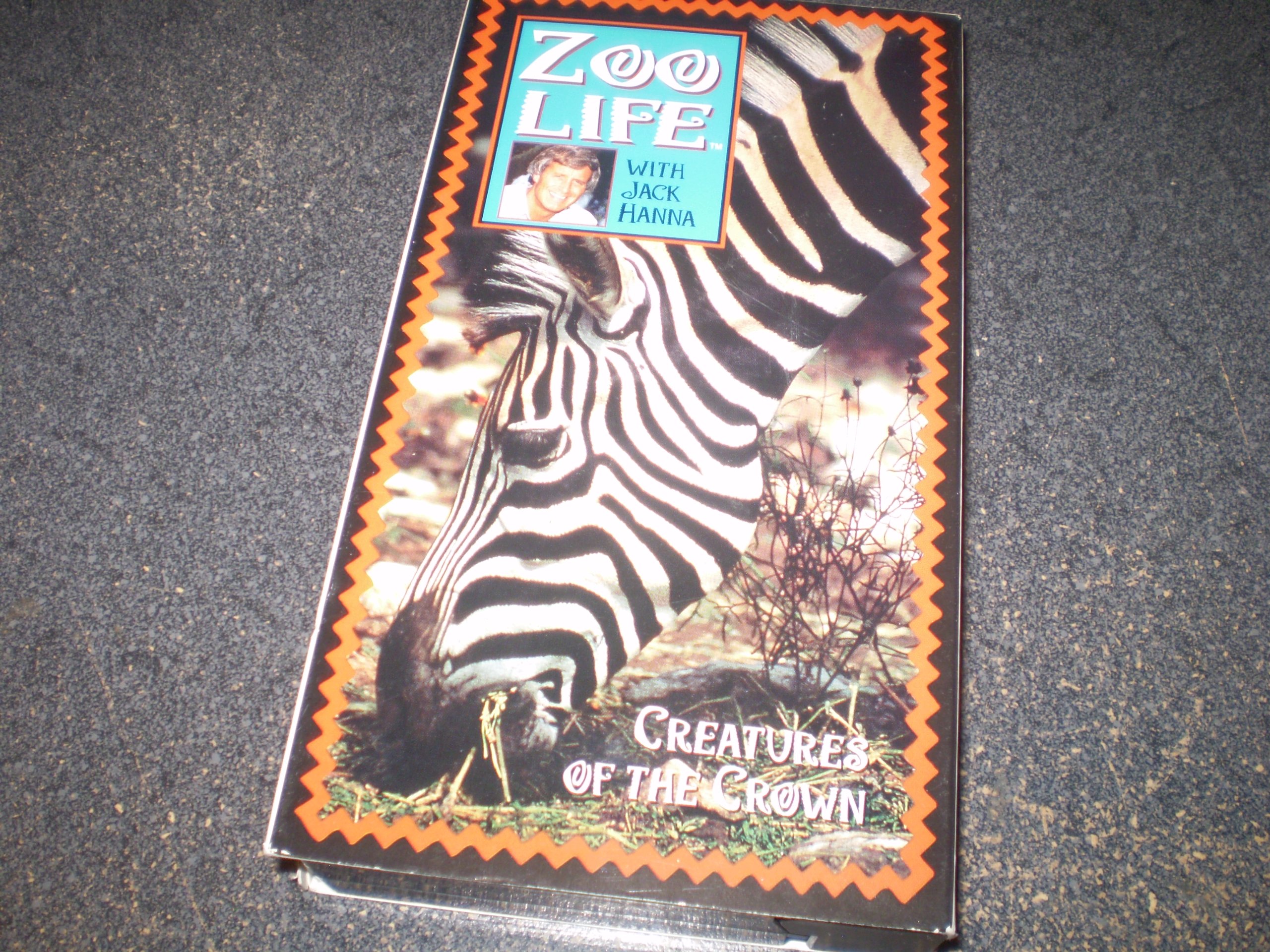 Zoo Life Creatures of the Crown - Realistic Animal Figures for Kids Educational Play & Safari Themed Birthday Parties