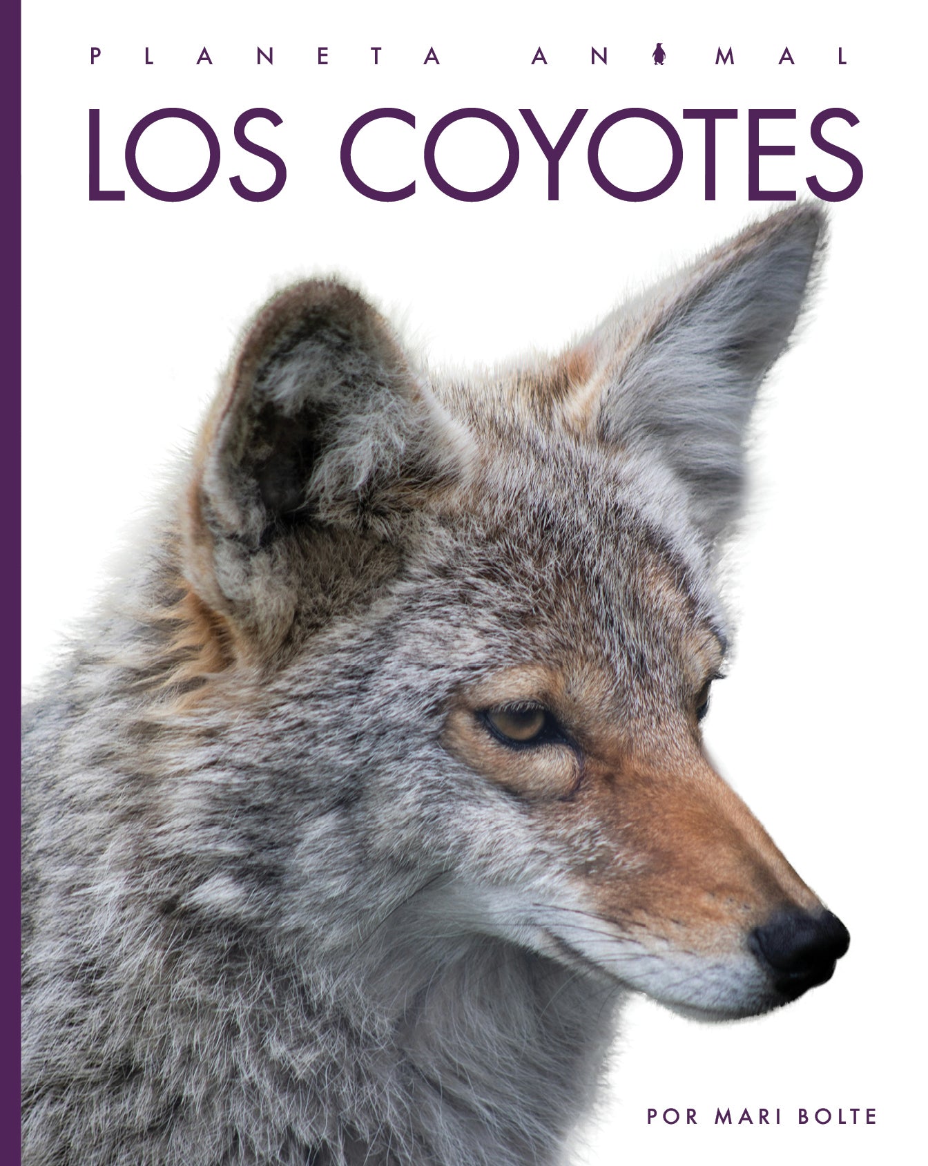 Los Coyotes Animal Planet 2025 - Wildlife Documentary DVD - Perfect for Nature Lovers & Educational Viewing