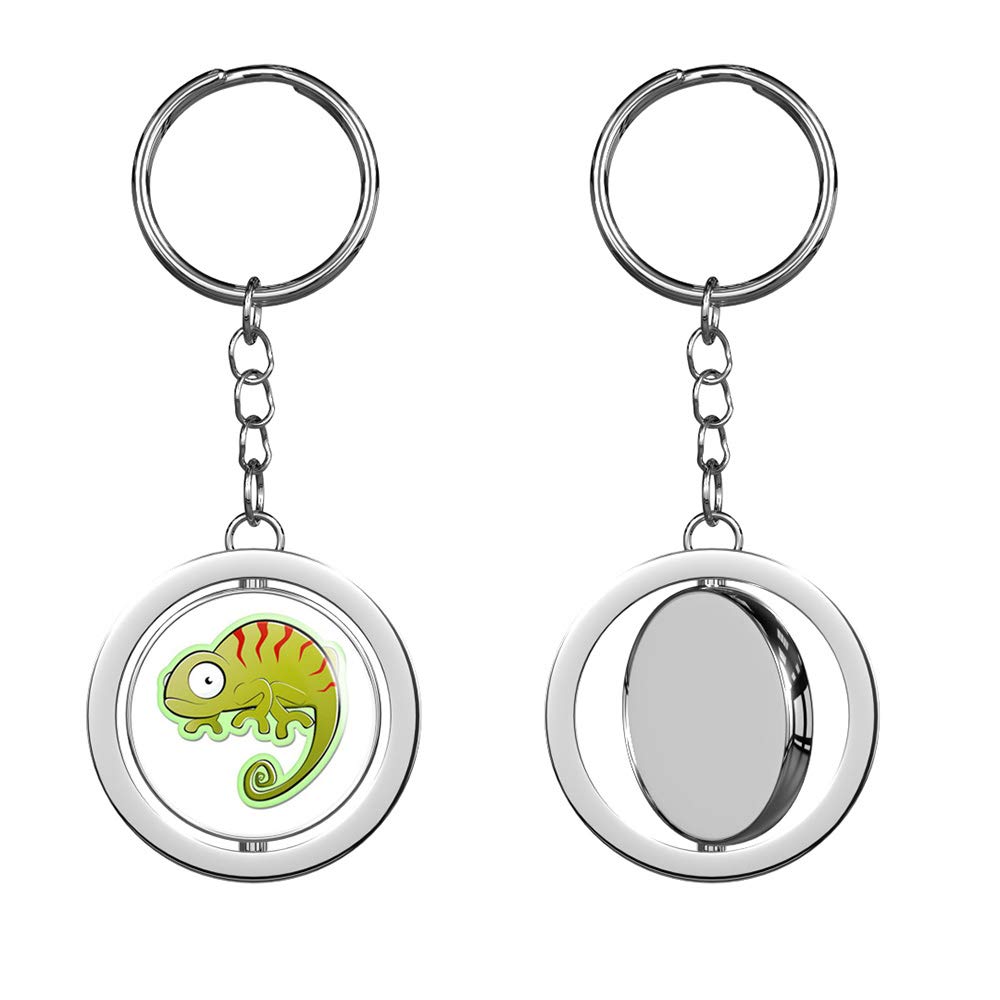 Chameleon Chrome Keychain - Double Sided Spinning Keyring for Car & Home Keys
