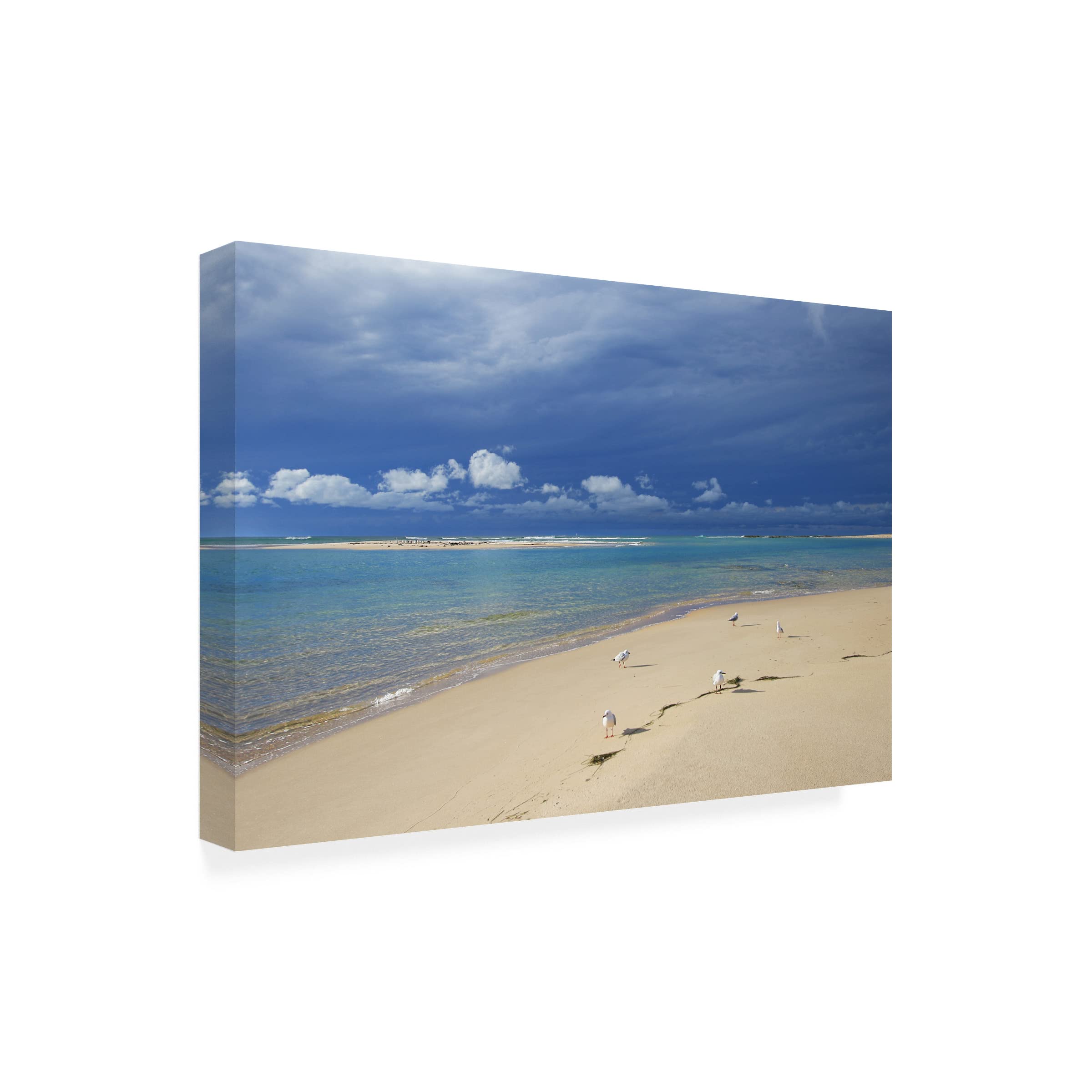 Trademark Fine Art 'Born to Be on a Beach' Canvas Wall Art Print by Beata Czyżowska | Coastal Decor for Living Room, Bedroom & Beach House | Ocean Themed Home Decor
