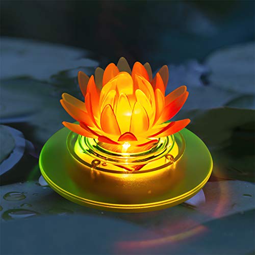 1 Pcs Lotus
