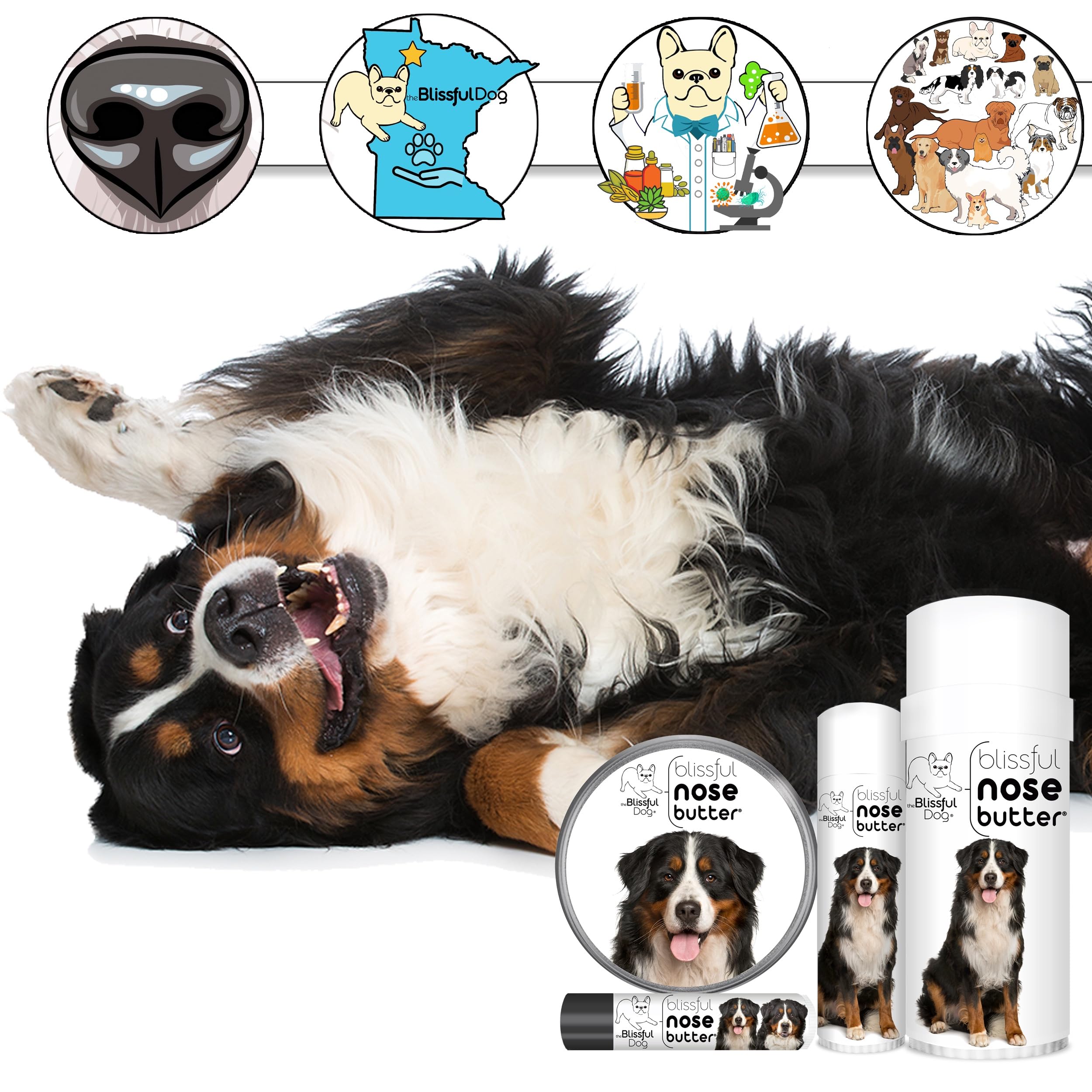 The Blissful Dog Bernese Mountain Dog Unscented Nose Butter - 4oz Moisturizing Balm for Dry & Cracked Dog Noses | Safe & Natural Pet Care Solution | Perfect for Outdoor Adventures & Harsh Weather Protection