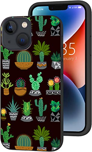Cactus and Succulents