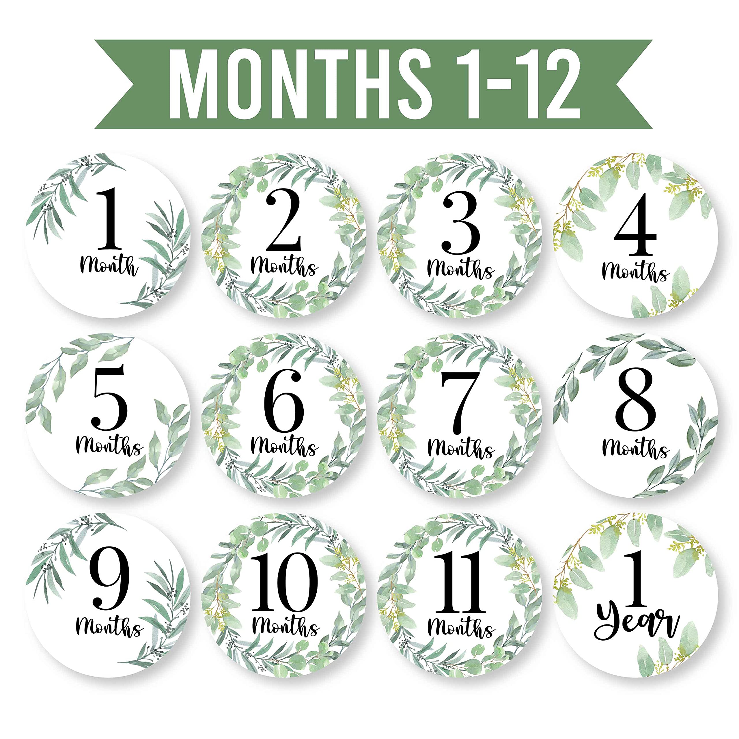 Hadley Designs 20 Pack Greenery Baby Monthly Milestone Stickers - Newborn Photo Props for First Year Memories | Perfect for Baby Shower Gifts, Monthly Photos, and Scrapbooking