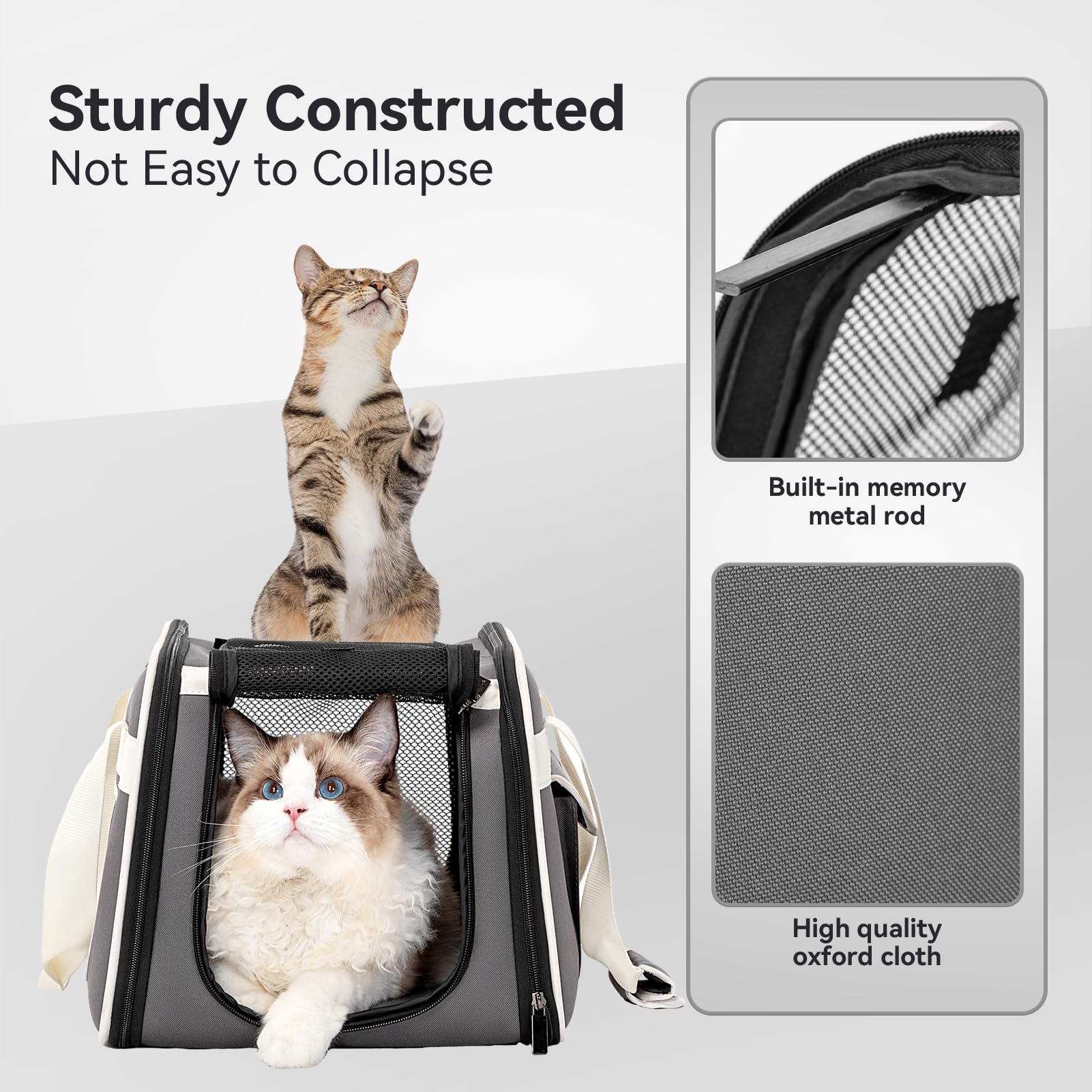 Petsfit Airline Approved Cat Carrier with Wheels - Travel Pet Carrier for Small Dogs & Cats, Adjustable Safety Rope & Removable Wheels - Perfect for Air Travel, Vet Visits & Road Trips