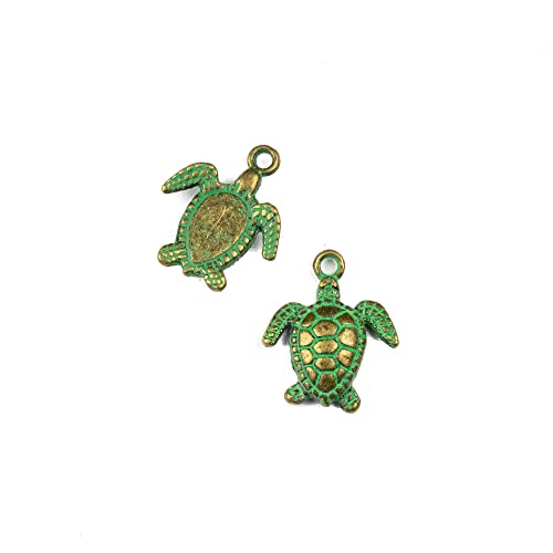 Sea Turtle