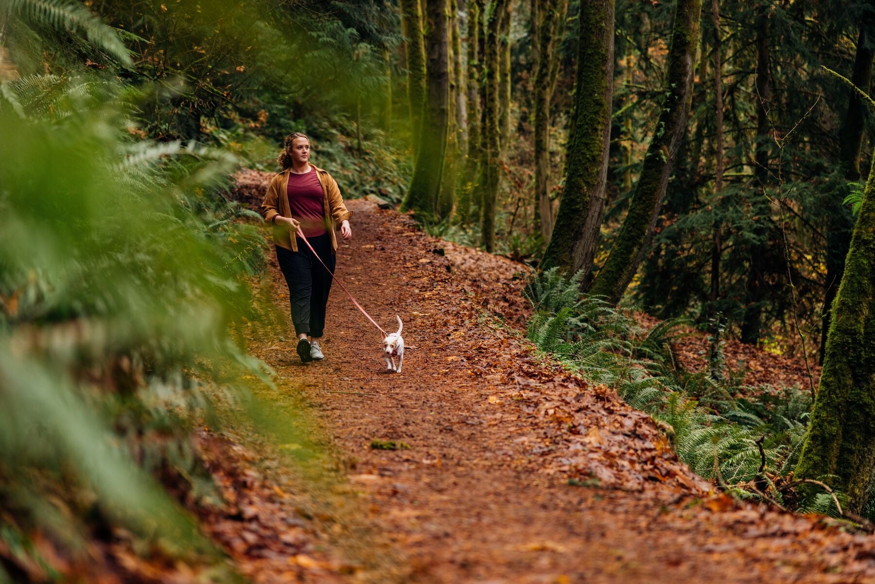 Ruffwear Hi & Light® Ultralight Dog Harness in Phosphorescent Yellow (Lichen Green) - Perfect for Hiking, Running & Outdoor Adventures with Your Pet