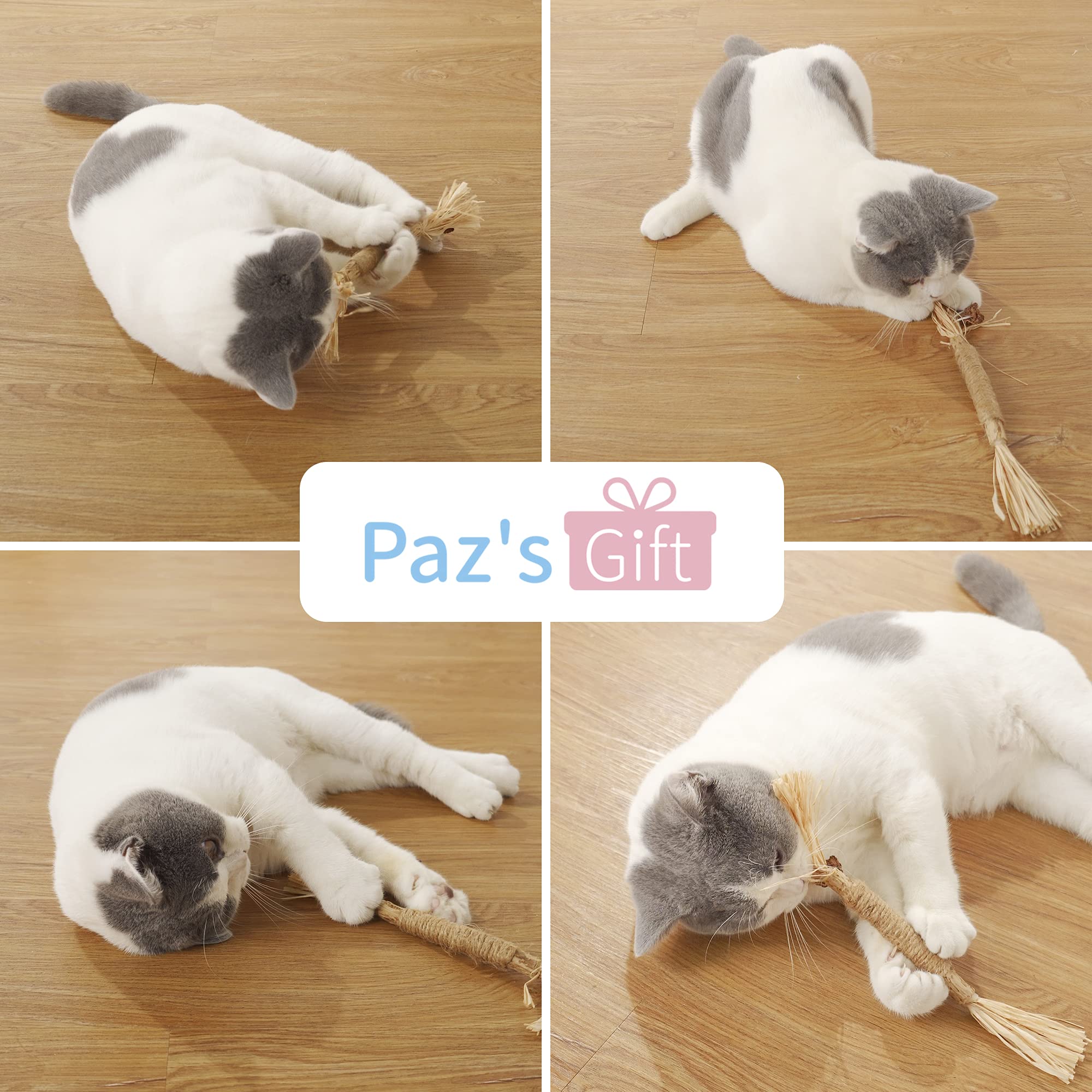PAZ'S GIFT Natural Silvervine Catnip Sticks & Cat Kick Toys - 3-Pack Dental Chew Toys for Kittens, Interactive Indoor Cat Toys with Catnip to Clean Teeth, Reduce Obesity & Loneliness | Perfect for Playtime, Teething Relief & Bonding with Your Feline Friend