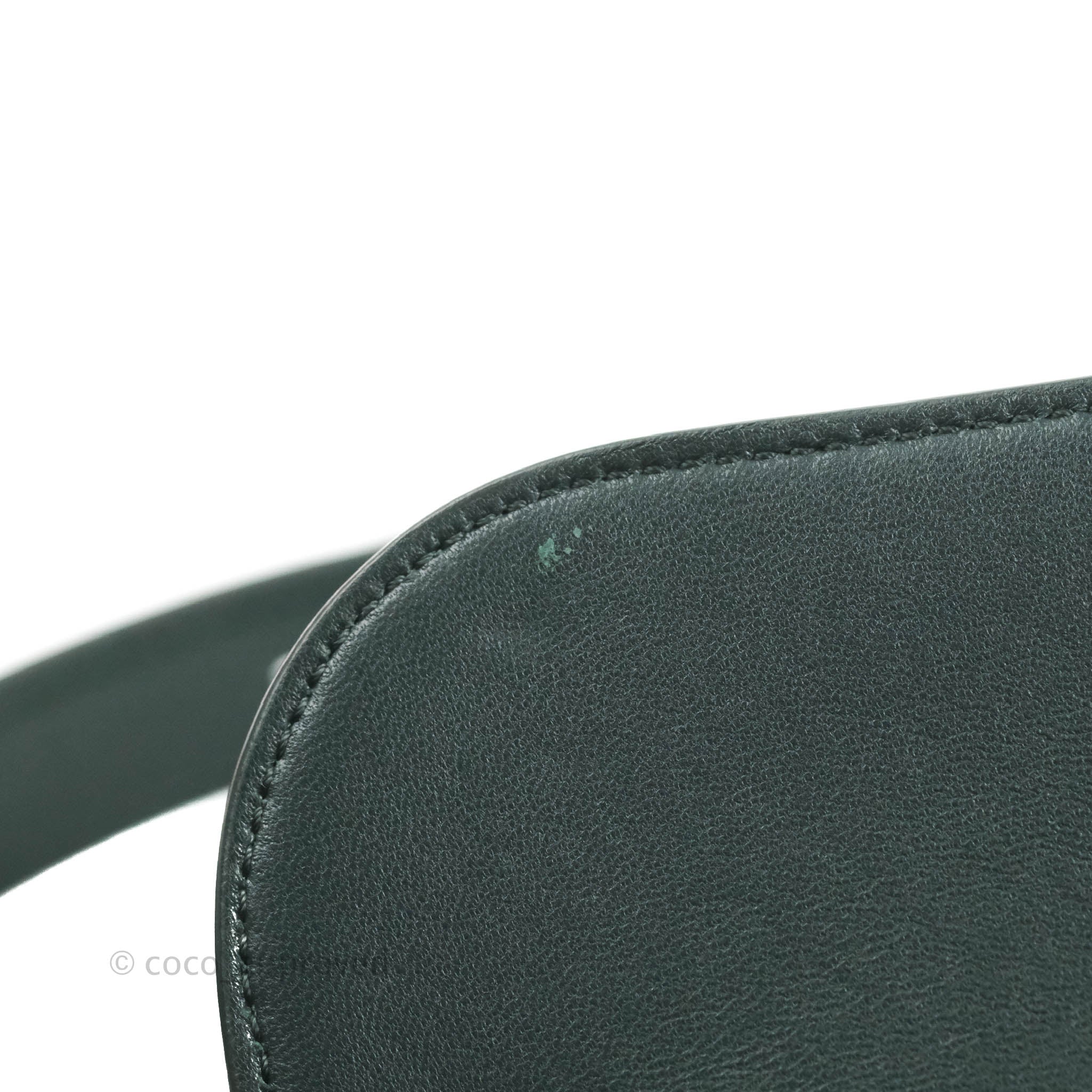 Celine Medium Triomphe Bag in Shiny Calfskin Leather - Amazone Green Crossbody Purse for Women | Perfect for Work, Date Night & Travel Accessories