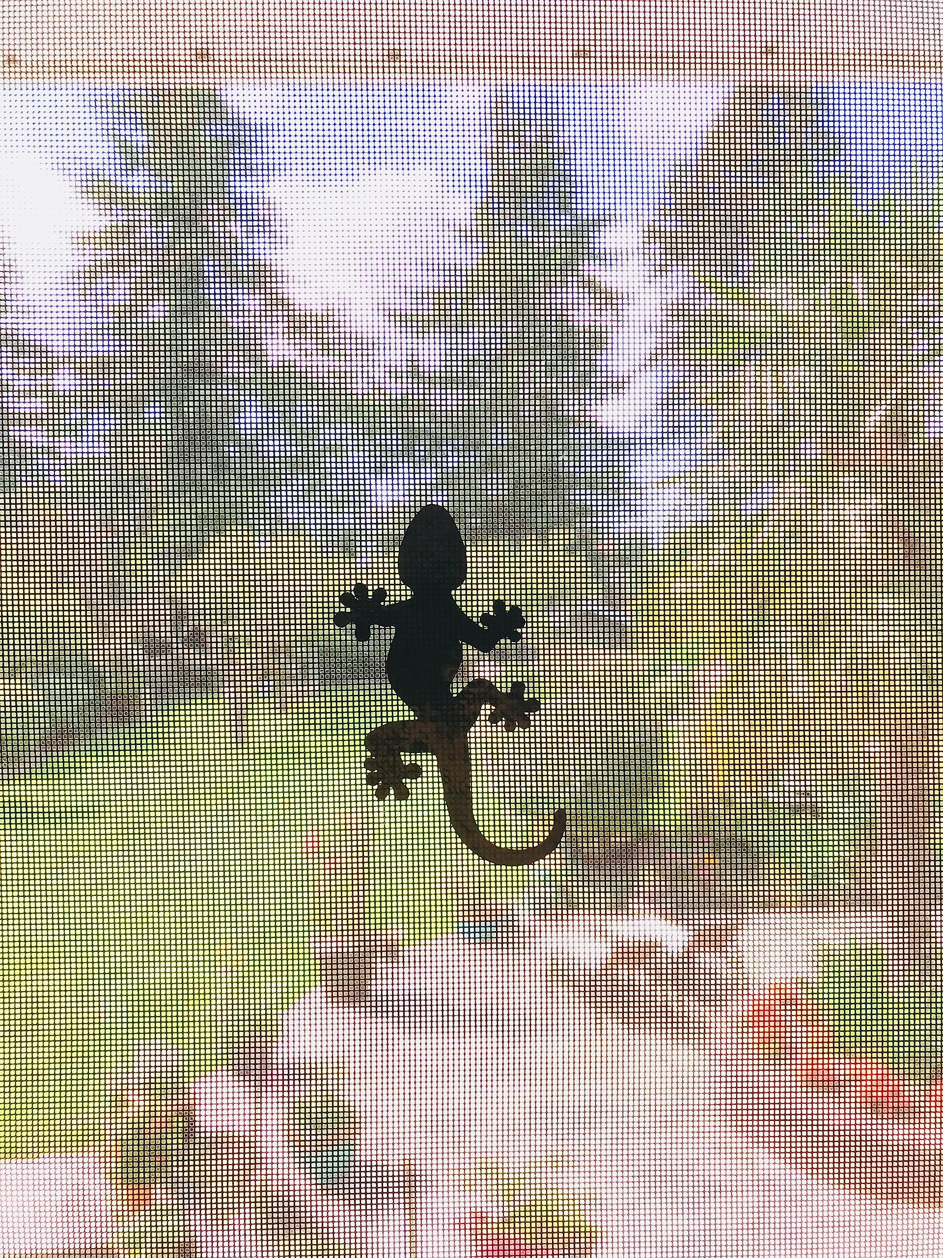 Retractable Screen Door Decors - 5-Pack Safety Decals for Windows & Doors - Prevent Accidents for Kids & Pets - Bird & Dog Alert Stickers - Gecko Design (Black) - Perfect for Homes, Schools & Daycares