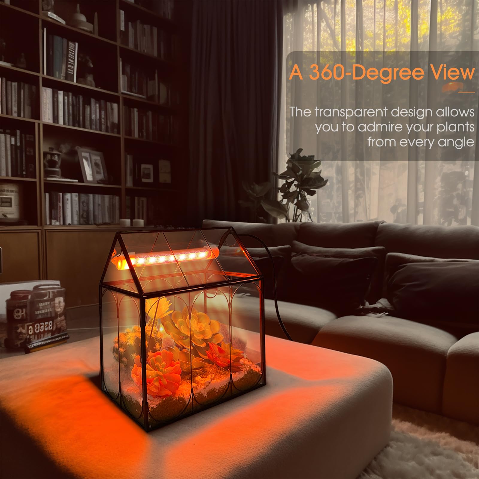 Rifny Indoor House Shape Glass Terrarium Kit with Grow Light & Lid - Small Plant Terrarium Jar for Venus Fly Trap, Succulents & Air Plants - Perfect Home & Office Decor (Plants Not Included) | Great for Desktop Decor, Gift Ideas & Indoor Gardening Enthusiasts