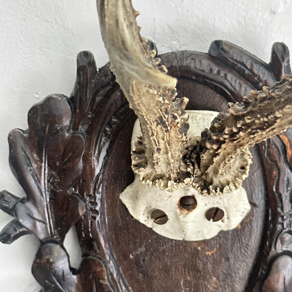 Black Forest Antlers on Carved Wood Plaque - Handcrafted Deer Antler Wall Decor for Hunting Lodge, Cabin & Rustic Home Decor - Perfect for Living Room, Study or Man Cave