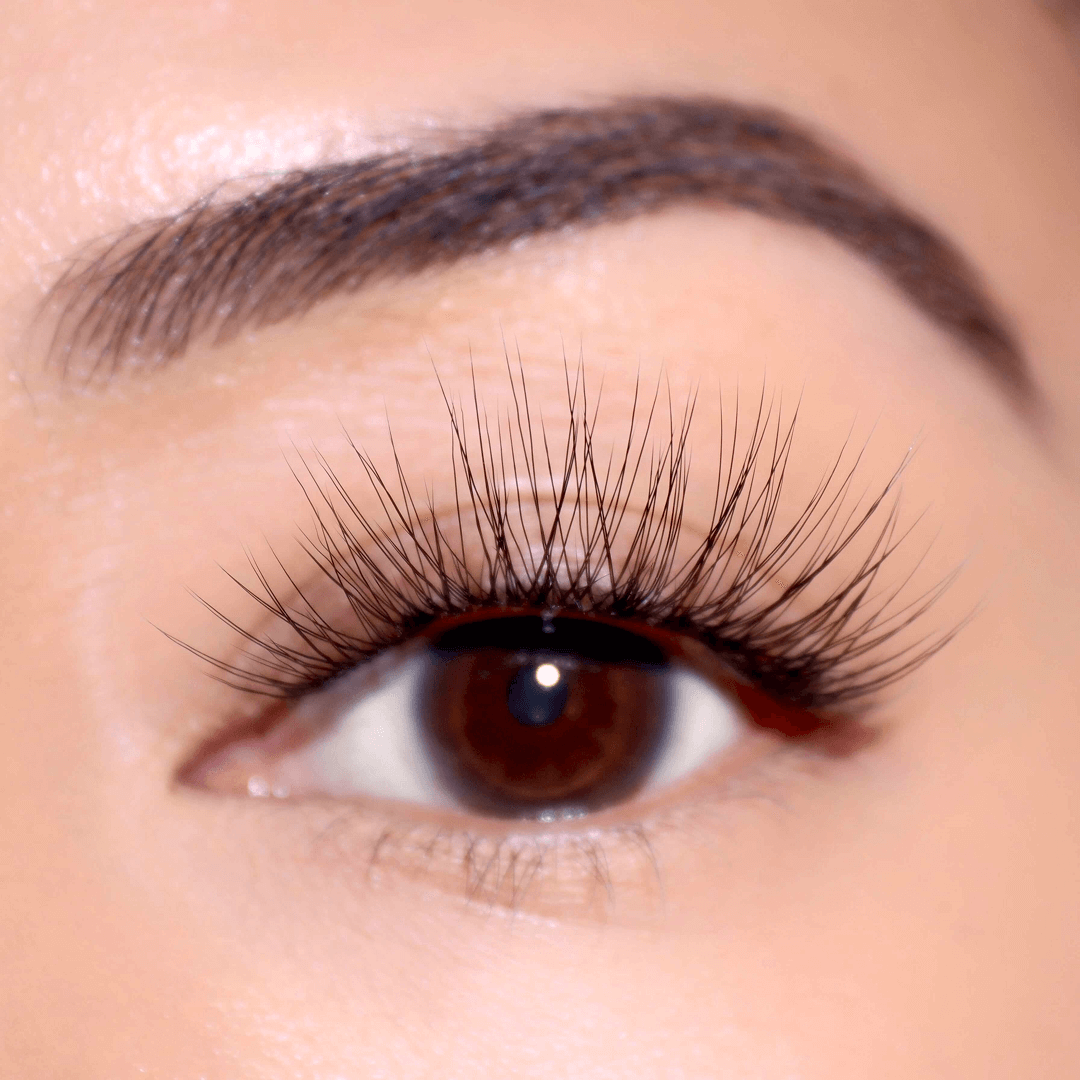 Professional Curated Eyelash Extension Kit - Natural & Dramatic Looks for Every Occasion | Perfect for Bridal, Party & Everyday Wear