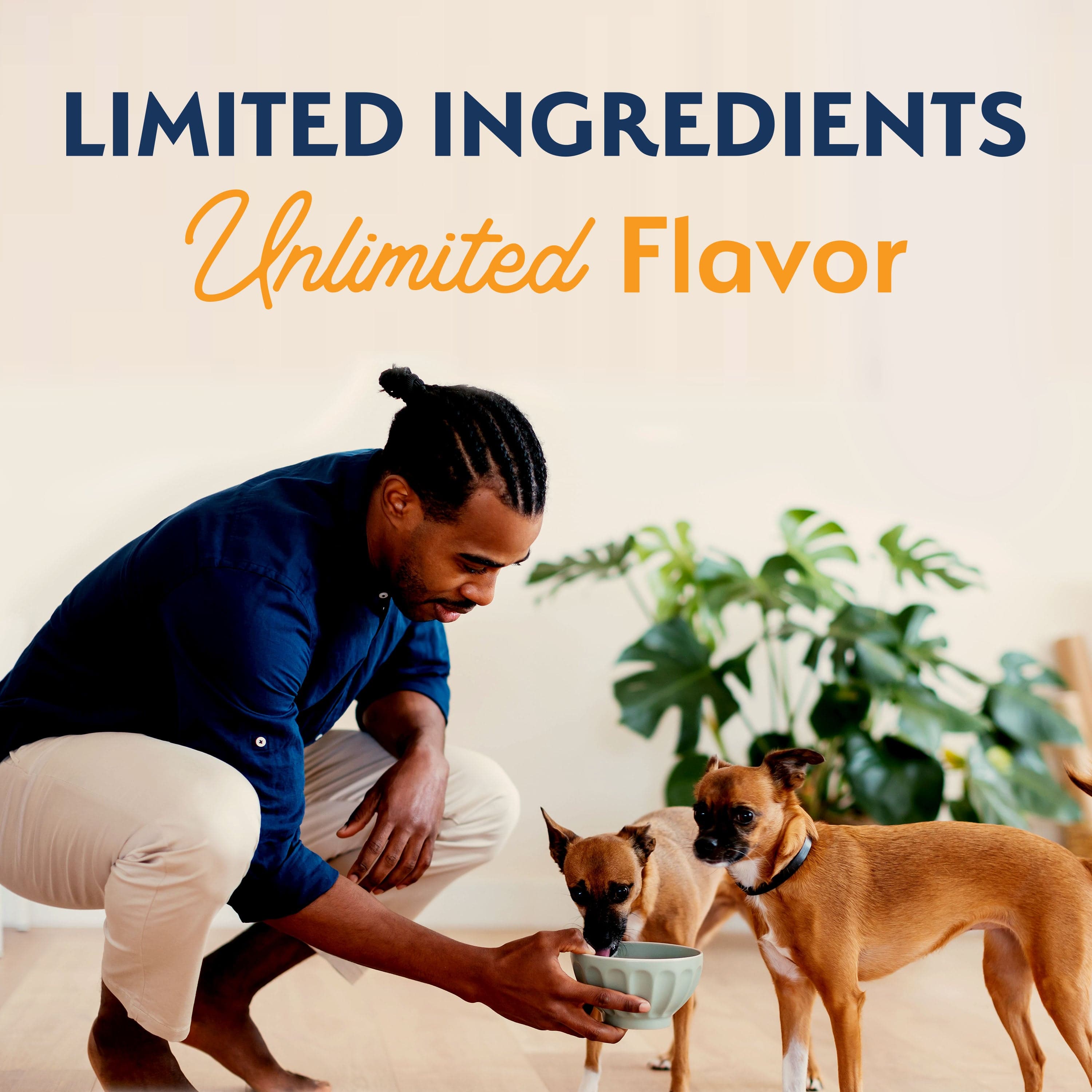 Natural Balance Reserve Grain-Free Duck & Potato Small Breed Dry Dog Food - Healthy & Digestible for Small Dogs - Perfect for Sensitive Stomachs & Allergies