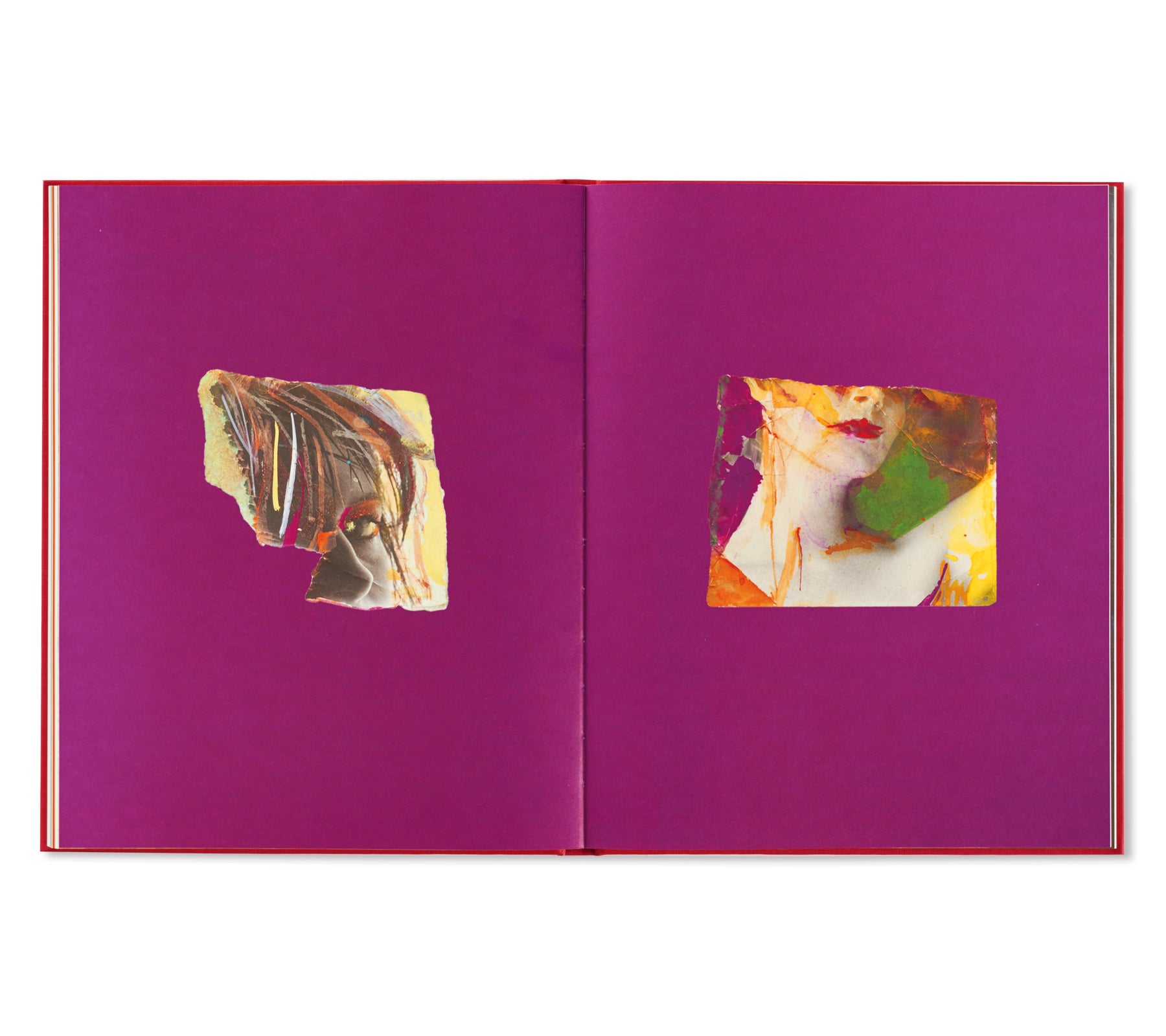 Painted Nudes by Saul Leiter - Vintage Fine Art Photography Book - Perfect for Art Collectors & Photography Enthusiasts