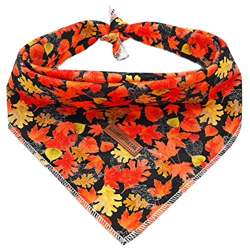 Fall