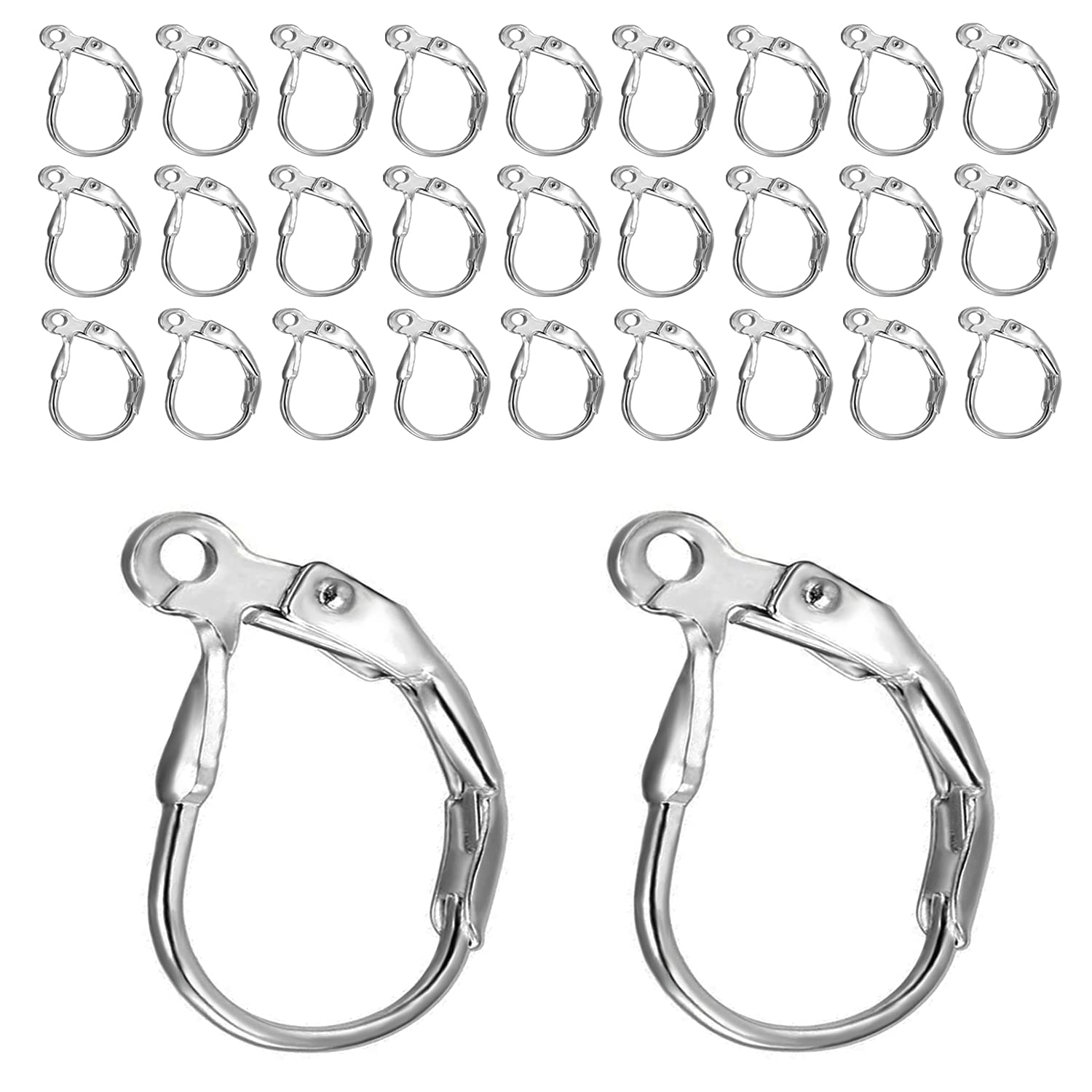 BEADNOVA 100pcs Stainless Steel Lever Back Earring Hooks, French Ear Wires for Jewelry Making - DIY Craft Supplies for Earrings, Studs & Dangle Earrings (Perfect for Jewelry Designers & Handmade Crafts)