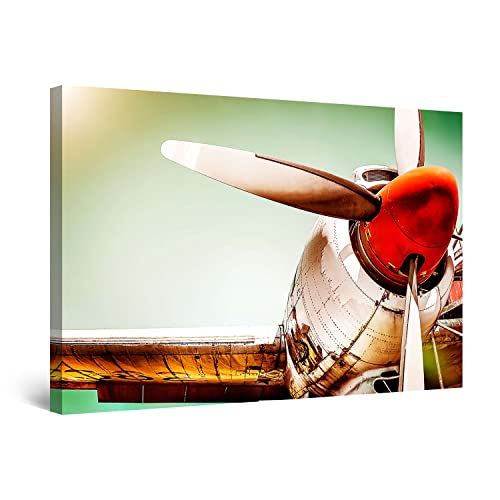 Red Golden Plane