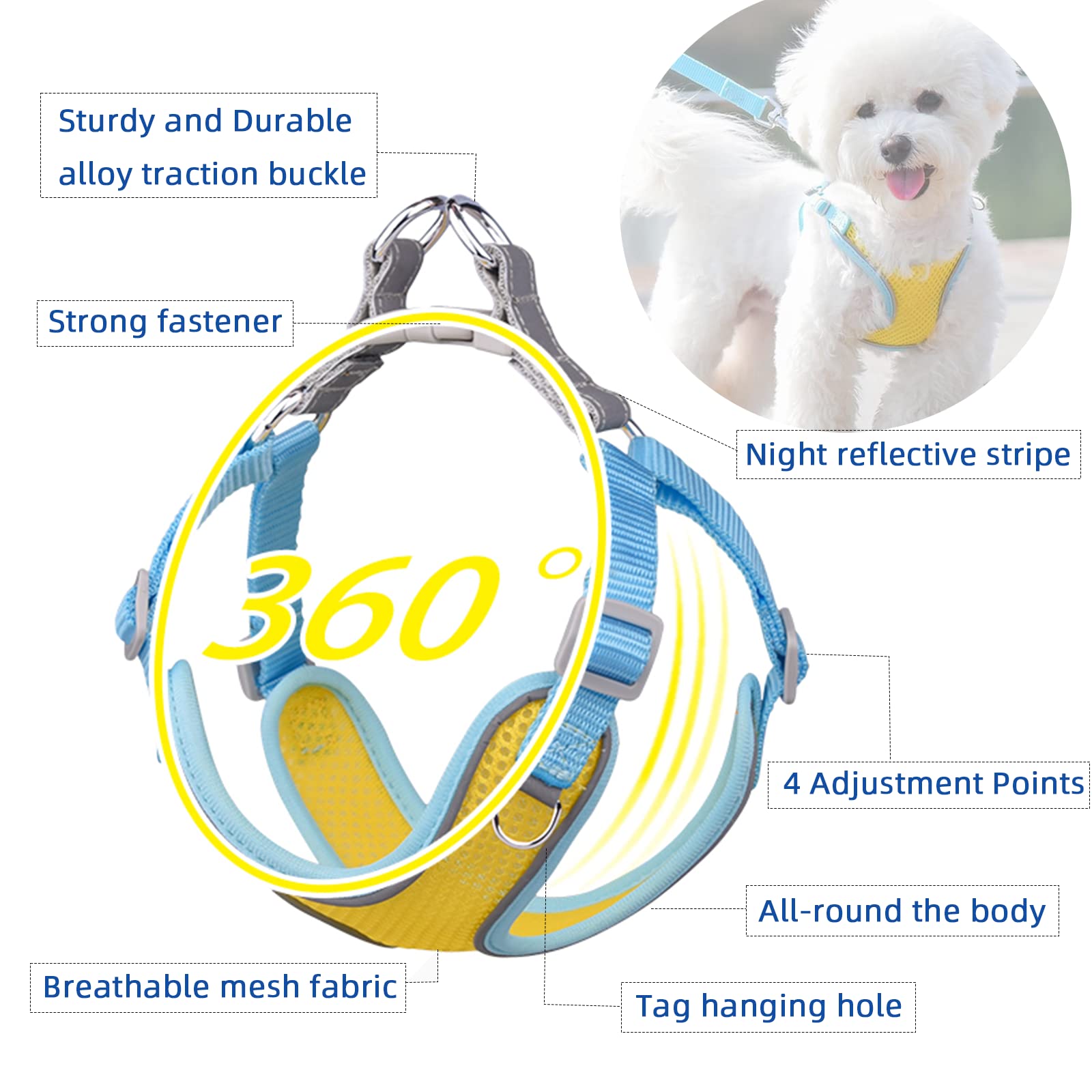 MAKASI No Pull Dog Harness with Leash Set - Reflective Adjustable Pet Vest, Breathable Mesh Front Clip Harness for Small Medium Large Dogs (XX-Small, Orange) - Perfect for Walking, Training & Outdoor Adventures