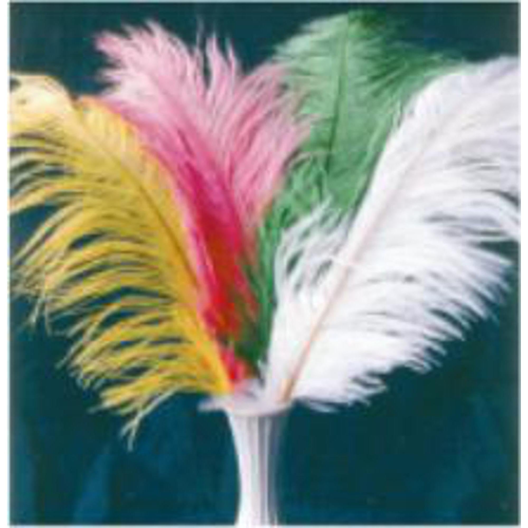 Plumes Small Pink Earrings - Elegant Statement Jewelry for Women | Perfect for Parties, Weddings & Special Occasions