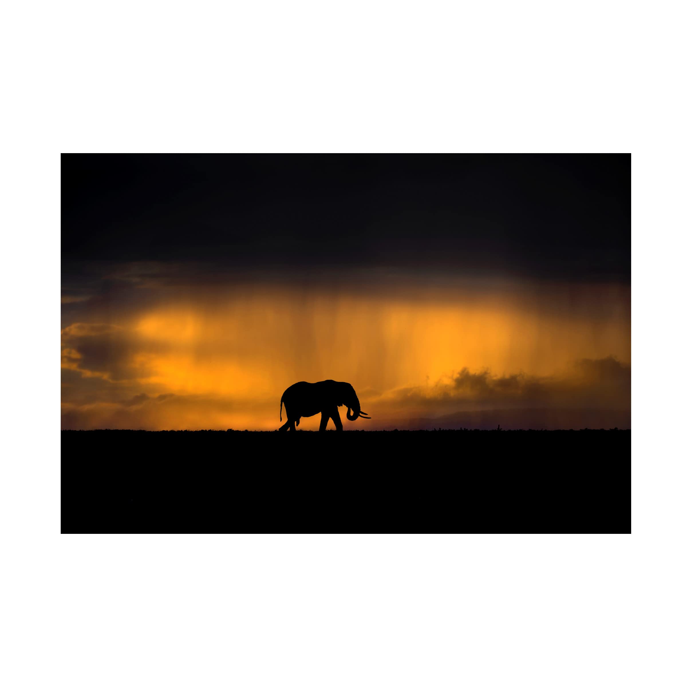 Xavier Ortega 'Elephant In A Rain Storm At Sunset' Canvas Wall Art Print - Handmade Elephant Painting for Living Room, Bedroom & Office Decor