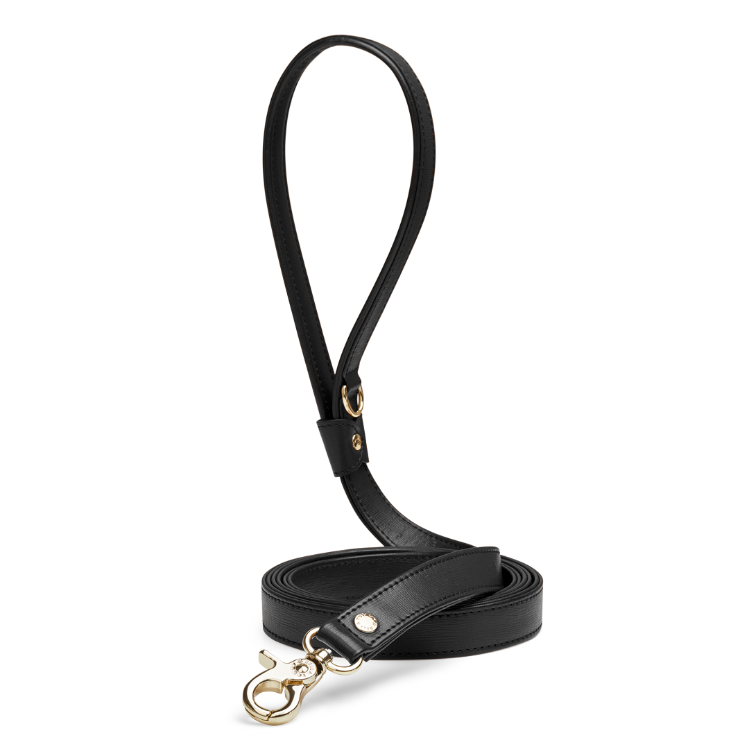 Premium Black 1 - High-Quality Essential for Everyday Use | Perfect for Home, Office & Travel