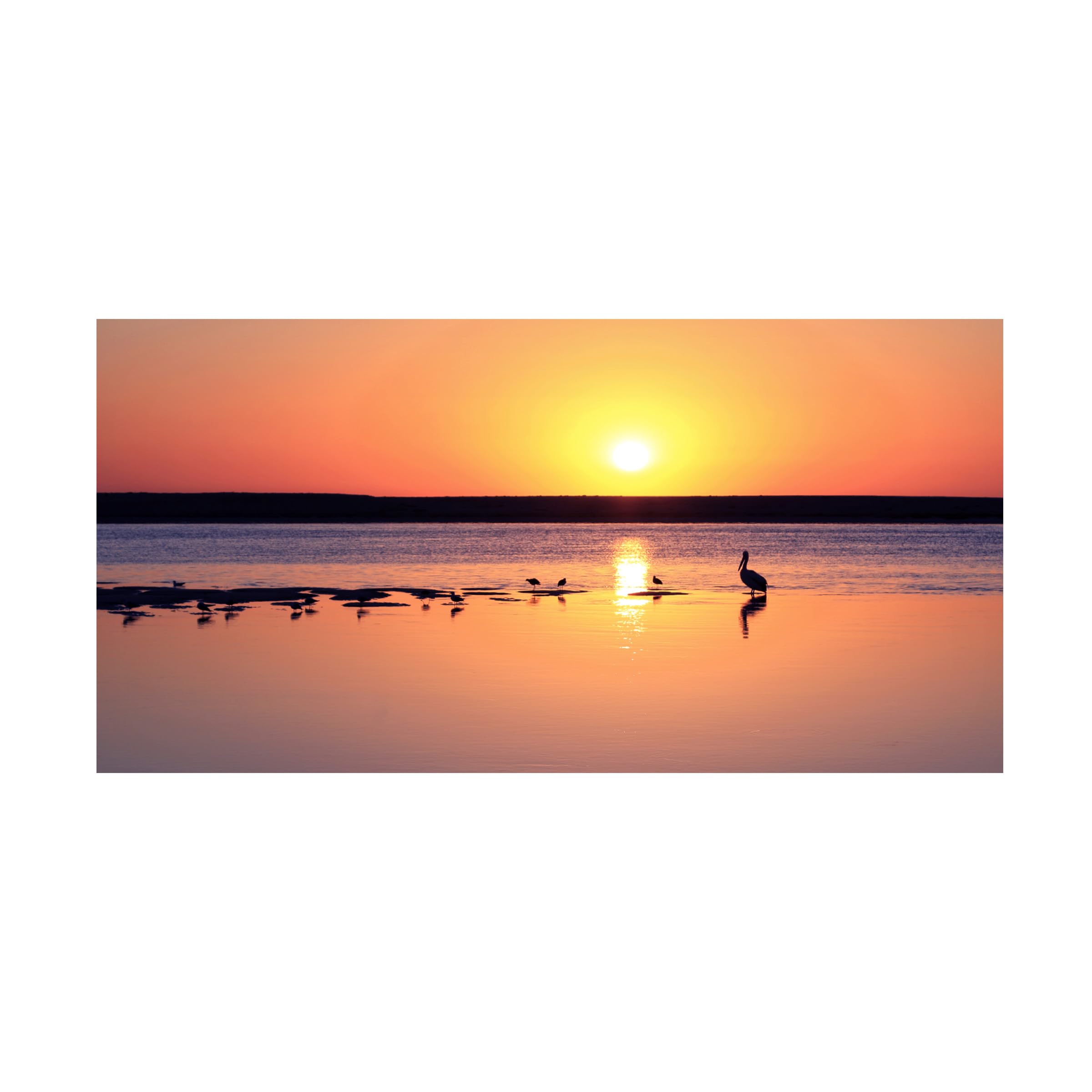 Trademark Fine Art 'Sunrise Watchers' Canvas Wall Art by Beata Czyzowska - Stunning Landscape Painting for Living Room, Bedroom & Office Decor