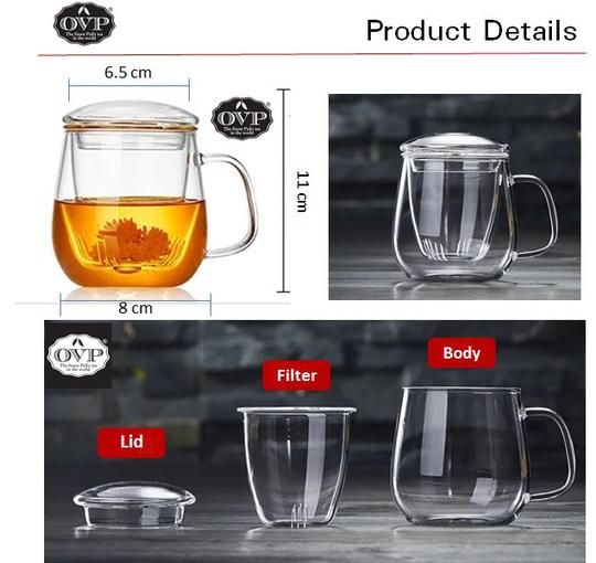 Premium OVP Borosilicate Glass Cup with Stainless Steel Filter & Leak-Proof Lid - 480ml (16oz) Heat-Resistant Coffee & Tea Tumbler - Perfect for Home, Office & Travel Use