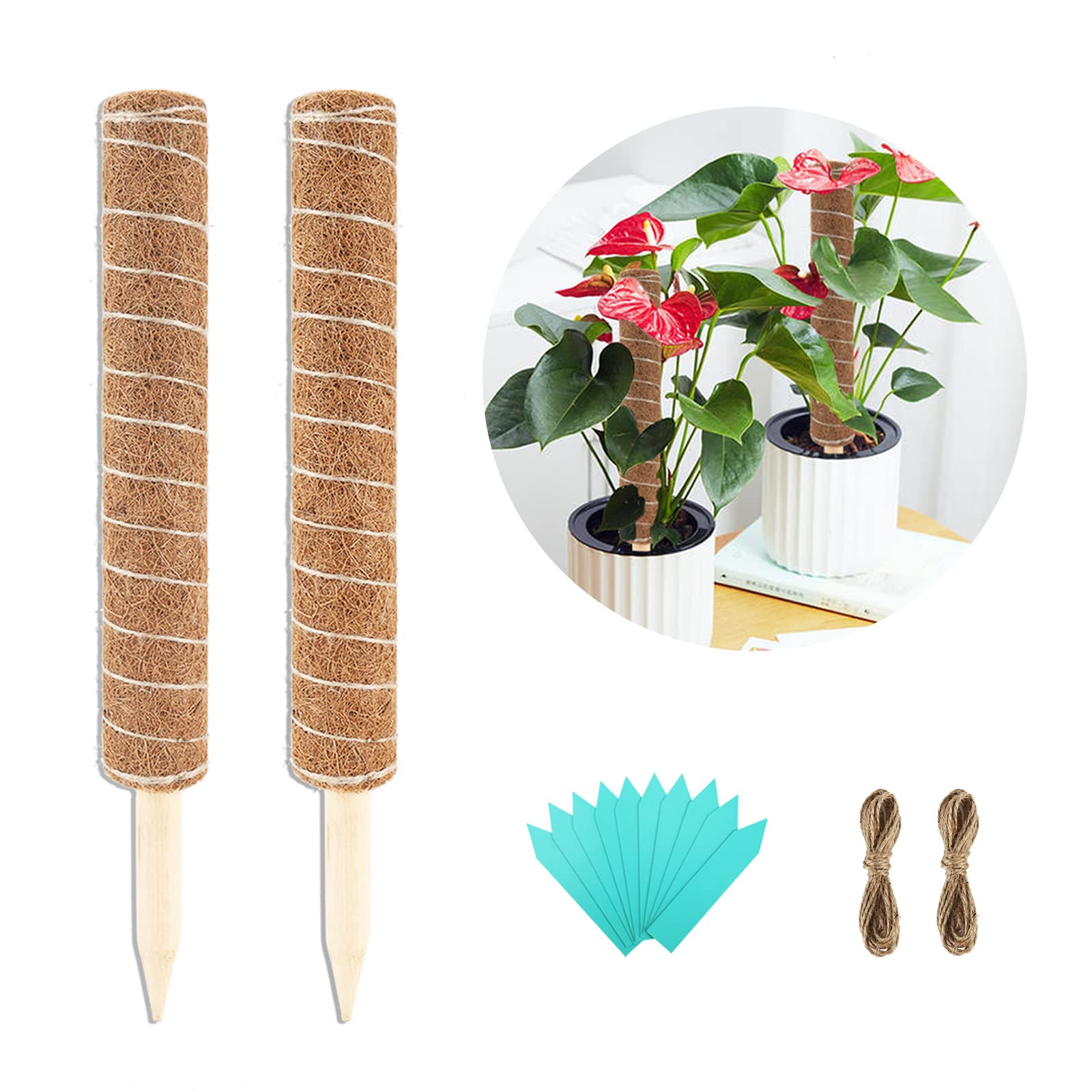 BETEAM 2Pcs 12 Inch Moss Pole for Climbing Plants - Natural Plant Support for Monstera, Pothos & Money Plant | Indoor Gardening, Vertical Growth & Home Decor