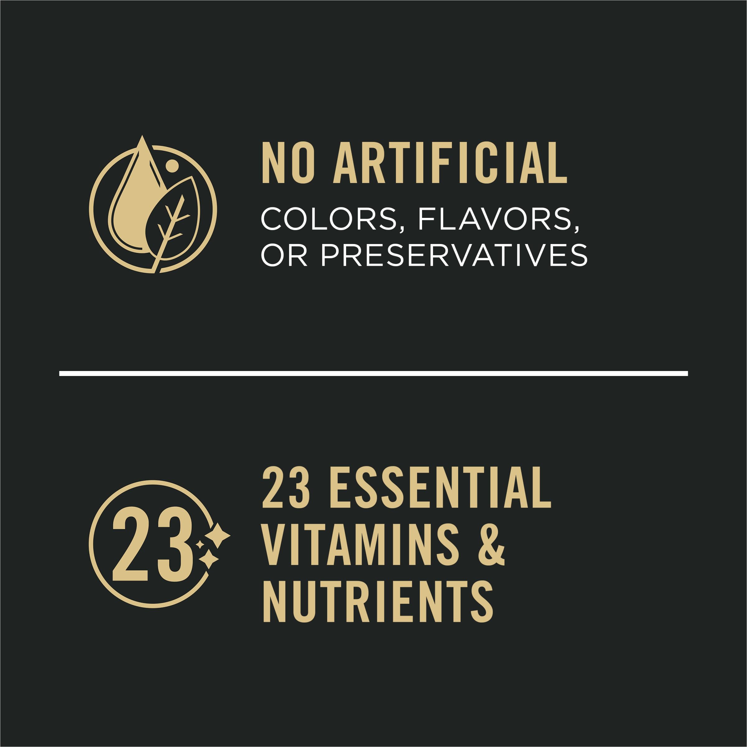 Purina Pro Plan Sport High Protein Wet Dog Food - Beef & Bison Entrée + Turkey, Duck & Quail Variety Pack (12 x 13oz Cans) for Active Dogs - Perfect for Training, Hiking & Outdoor Adventures