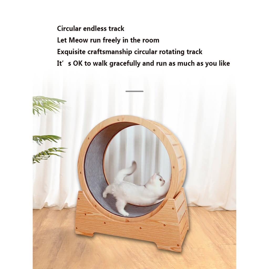 Grafken Solid Wood Cat Exercise Wheel - 75CM Large Treadmill Toy for Weight Loss, Multi-Functional Cat Shelf & Nest - Durable Anti-Scratch Design for Indoor Cats | Perfect for Small Apartments & Playtime