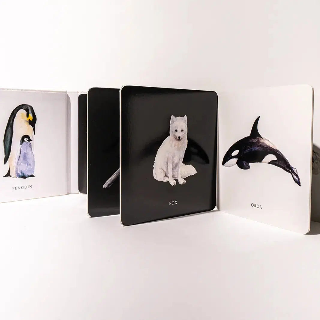 Paige Tate & Co. Baby's Black and White High Contrast Book - Newborn Visual Stimulation & Early Learning Development for 0-12 Months Infants