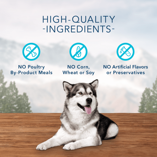 BLUE Wilderness Trail Treats Wild Bits Chicken Recipe Dog Training Treats - High Protein, Grain-Free Snacks for Small & Large Dogs - Perfect for Outdoor Adventures & Obedience Training