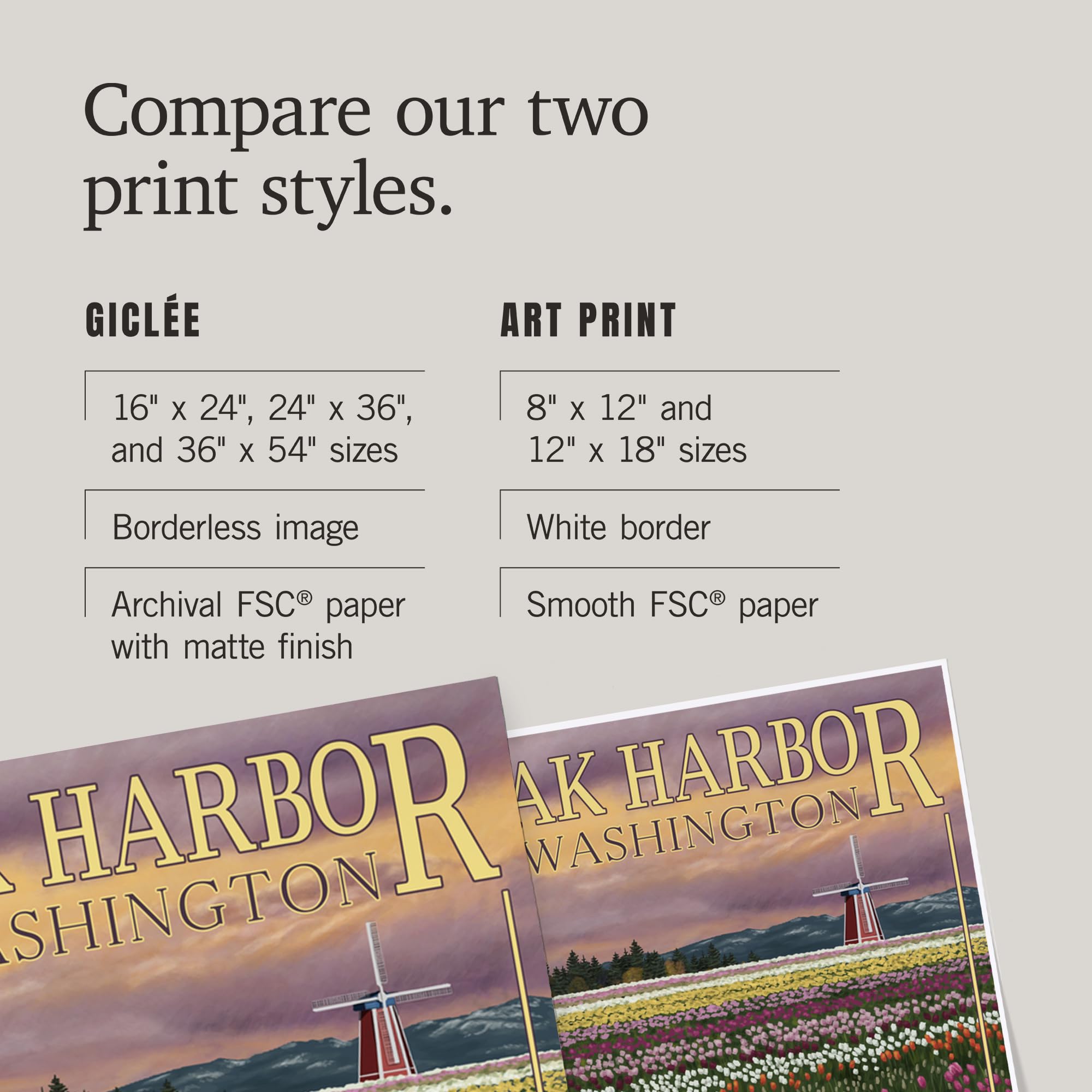 Lantern Press 16x24 Inch Giclee Print - Oak Harbor Washington Tulip Fields Wall Art - Perfect for Home Decor, Office & Living Room