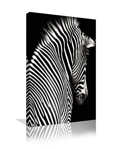 32-zebra Wall Art